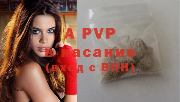a pvp Бородино