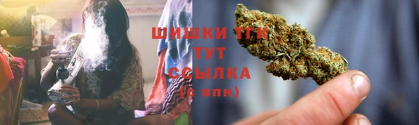 сатива Бронницы