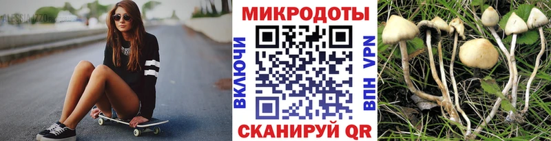 Псилоцибиновые грибы Cubensis  закладка  Дигора 
